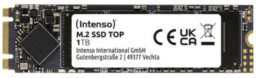 M.2 1TB Intenso Top Performance